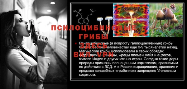 не бодяженный Абаза