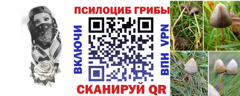 сколько стоит  hydra маркетплейс  Псилоцибиновые грибы Magic Shrooms  Юрюзань 